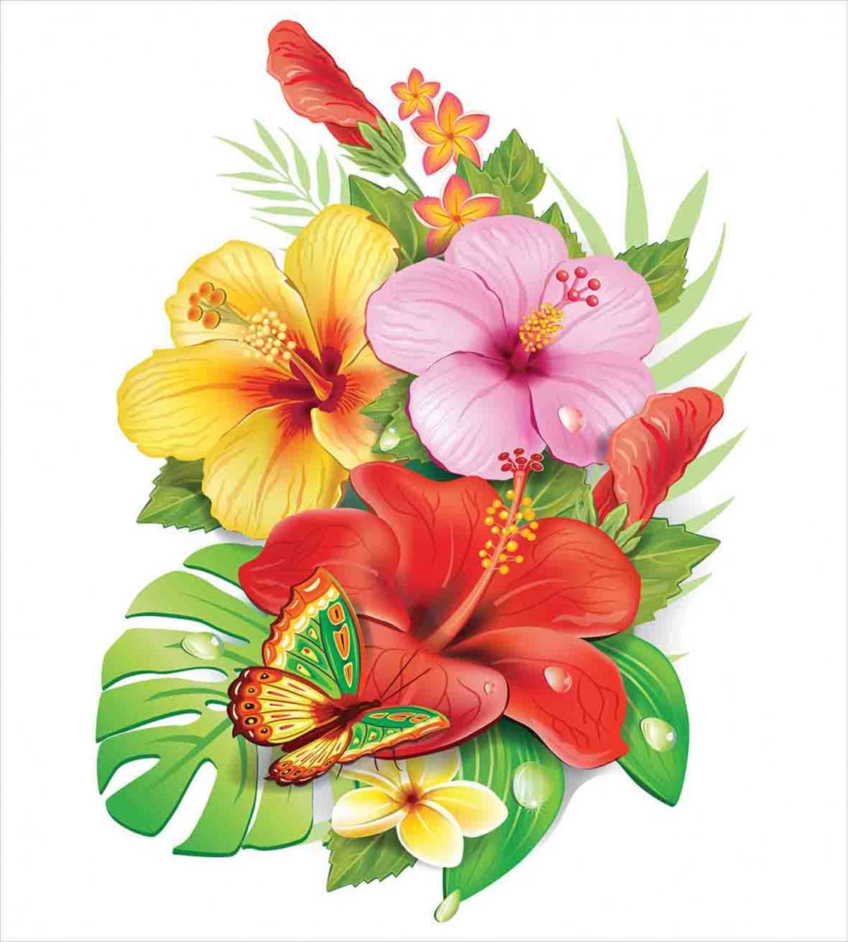 Colorful Hibiscus Blooming — Pattern