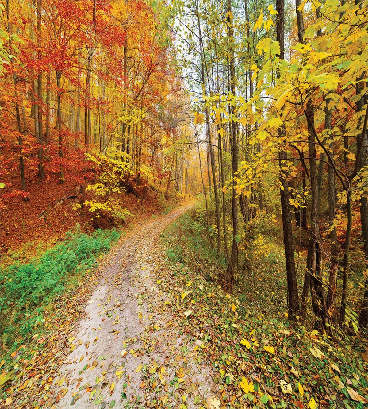 Colorful Autumnal Landscape — Pattern