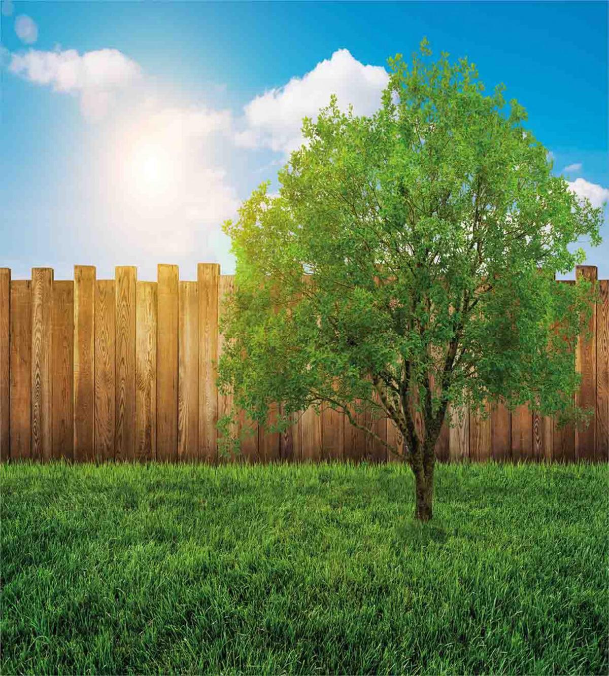 Life Tree Yard Field — Pattern