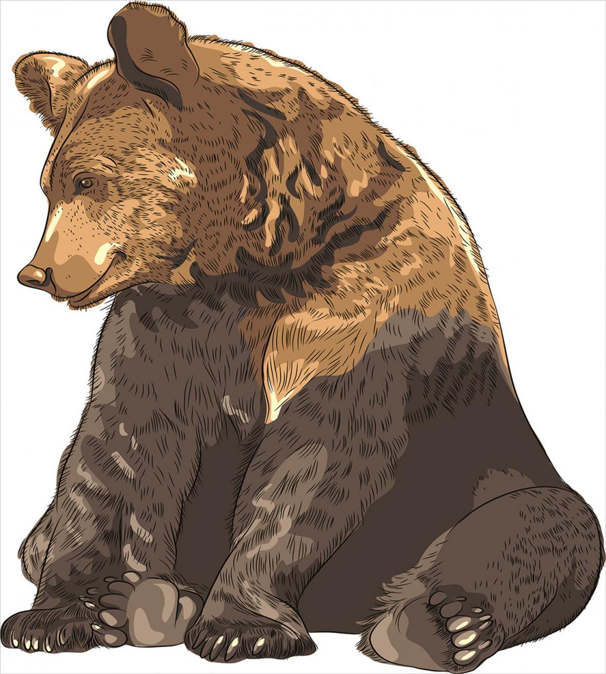 Wildlife Beast Cartoon — Pattern