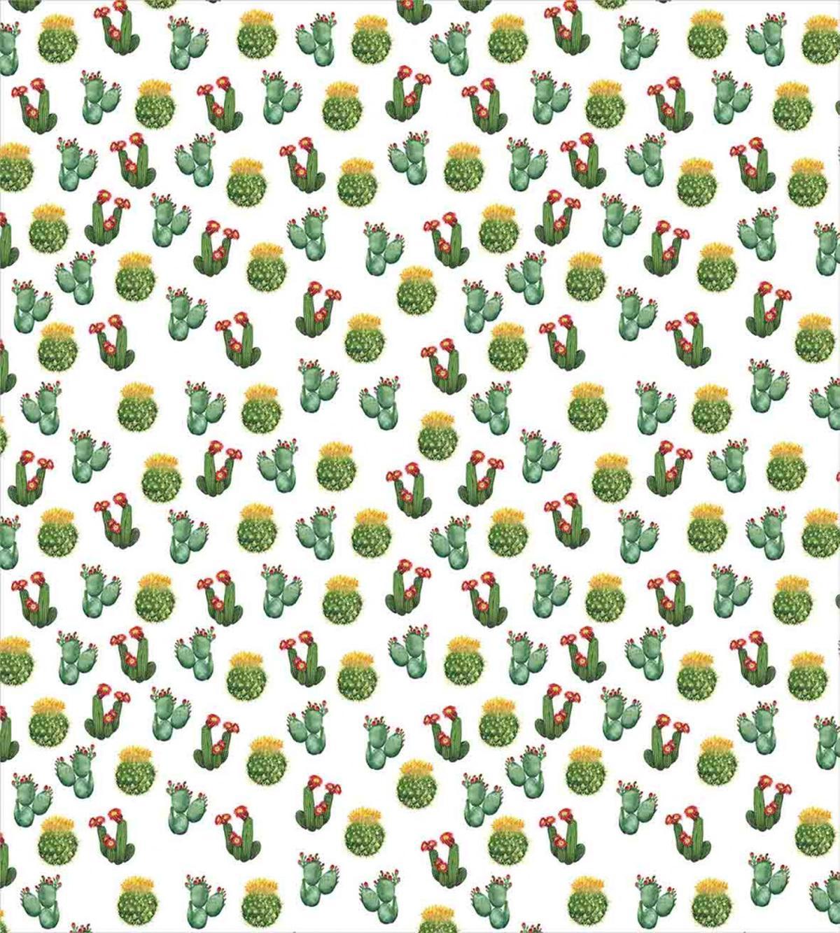 Cactus and Suculent Print — Pattern