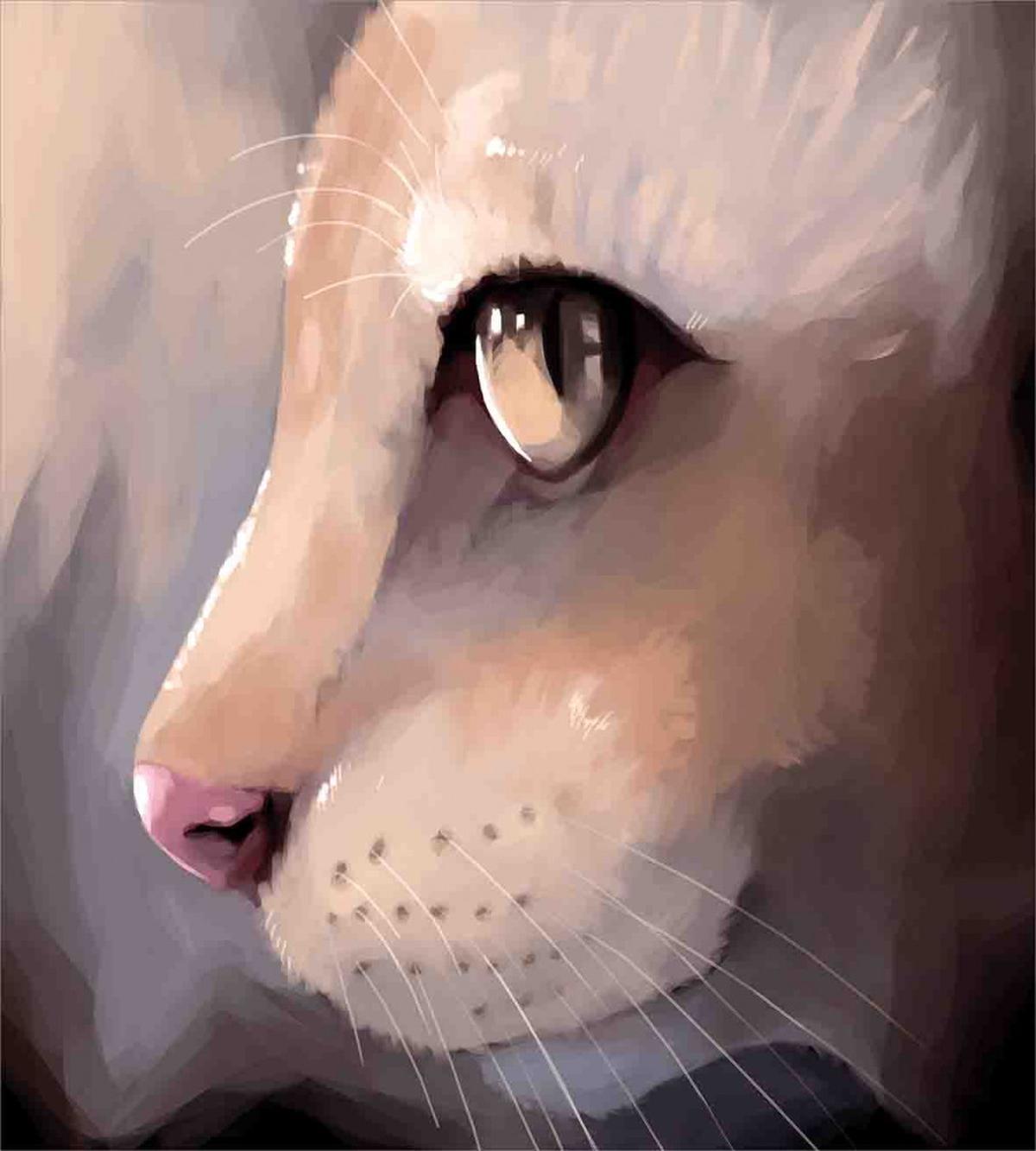Portrait Kitty Cat Meow — Pattern