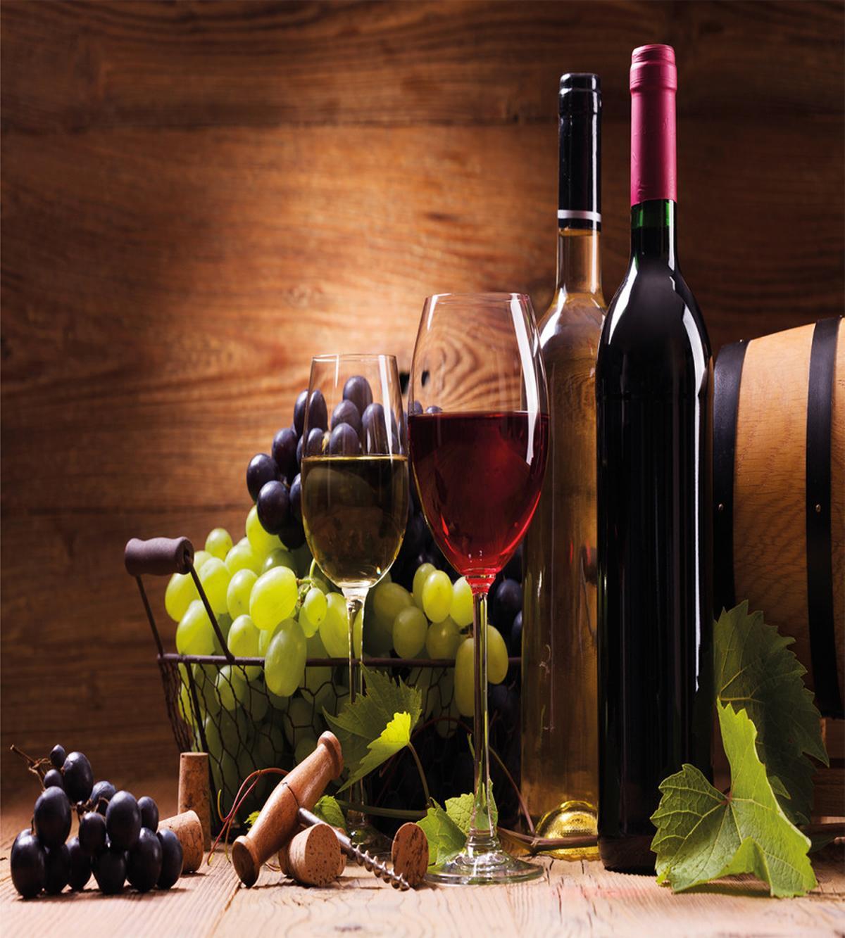French Gourmet Tasting — Pattern