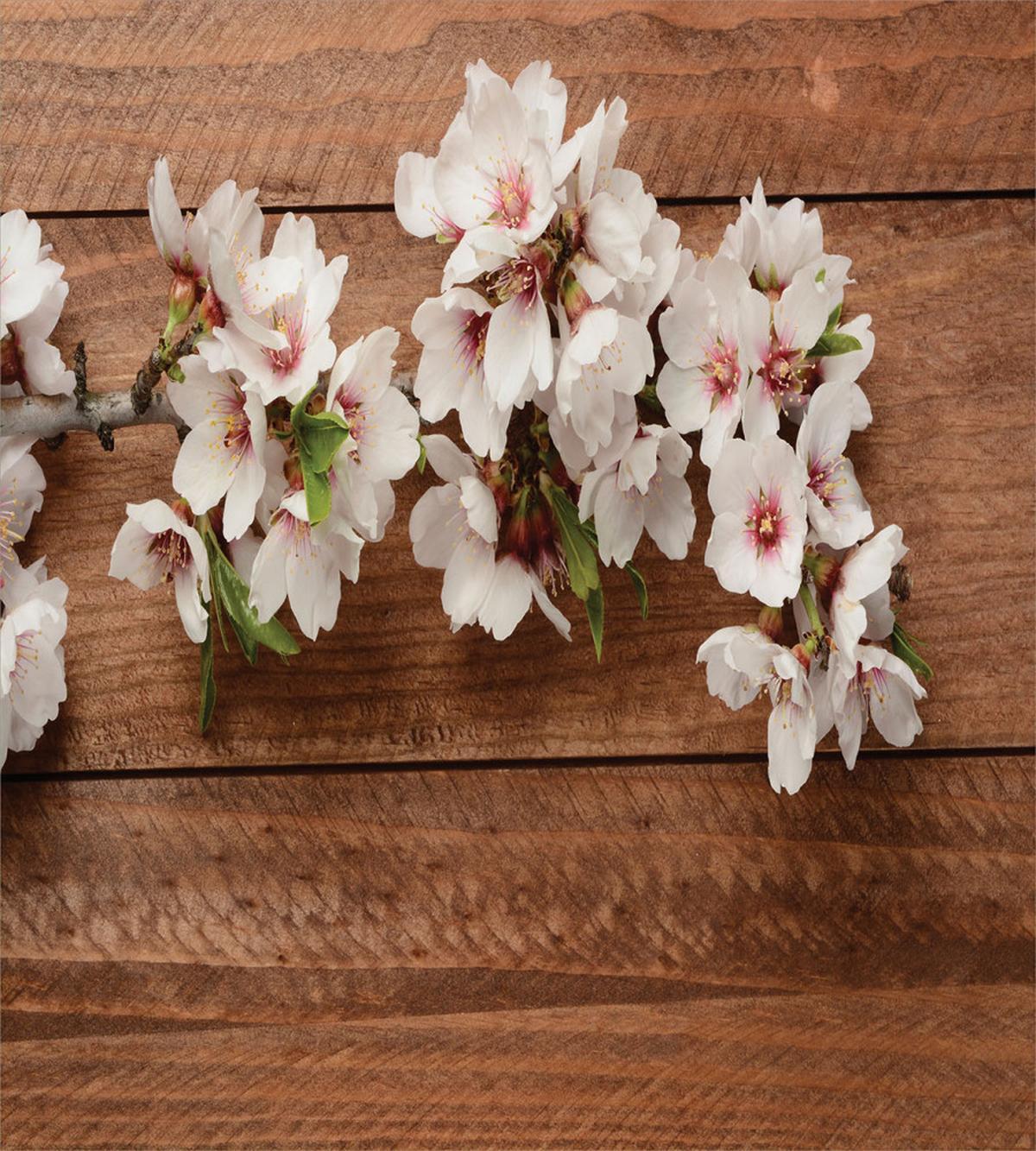Nature Composition — Pattern