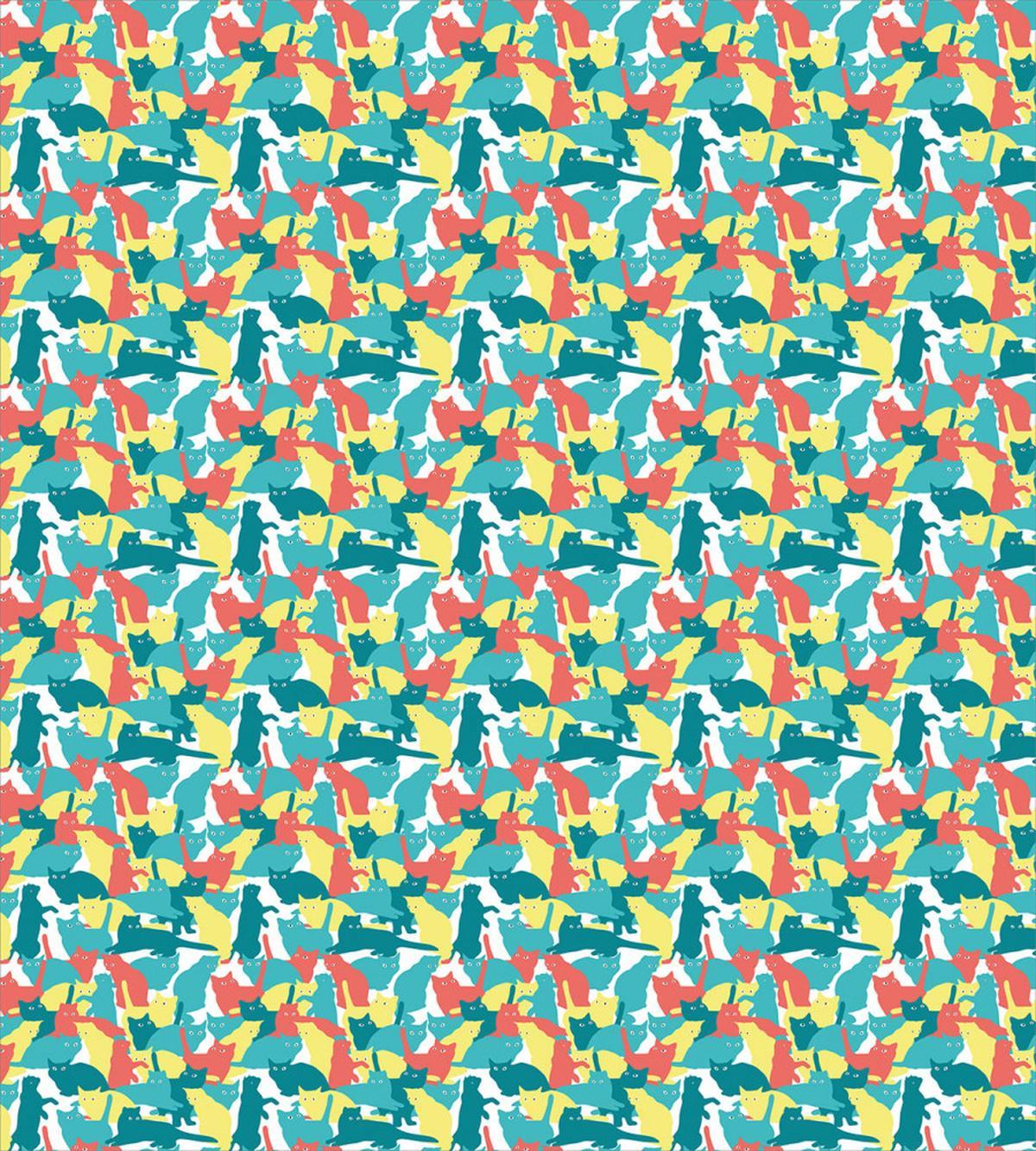 Energetic Kitten — Pattern