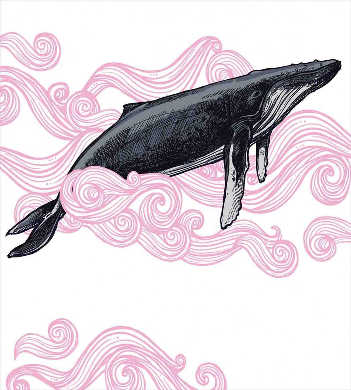 Striped Dreamy Whale — Pattern