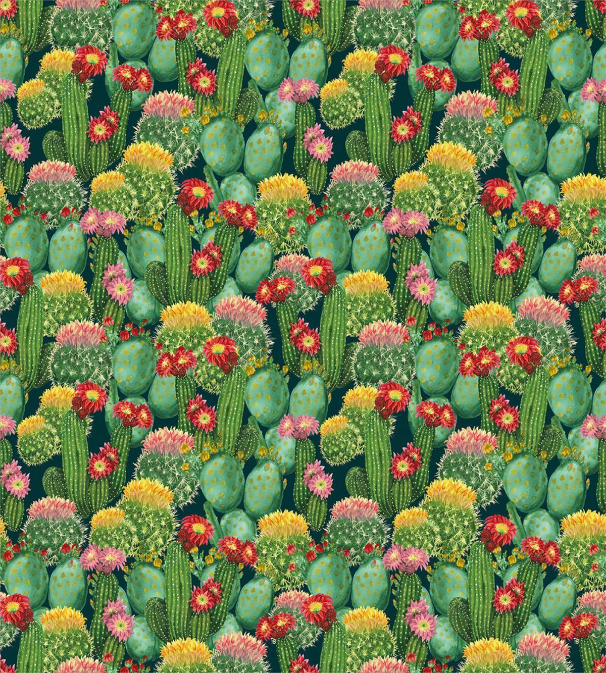 Cactus Flowers Garden — Pattern