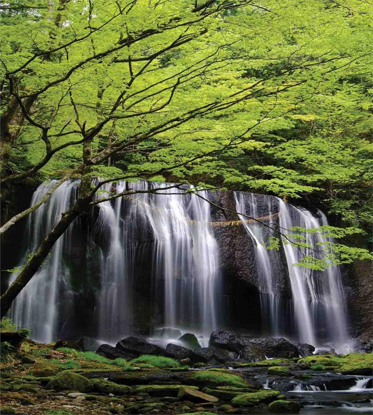 Rock Tree in Waterfall — Pattern