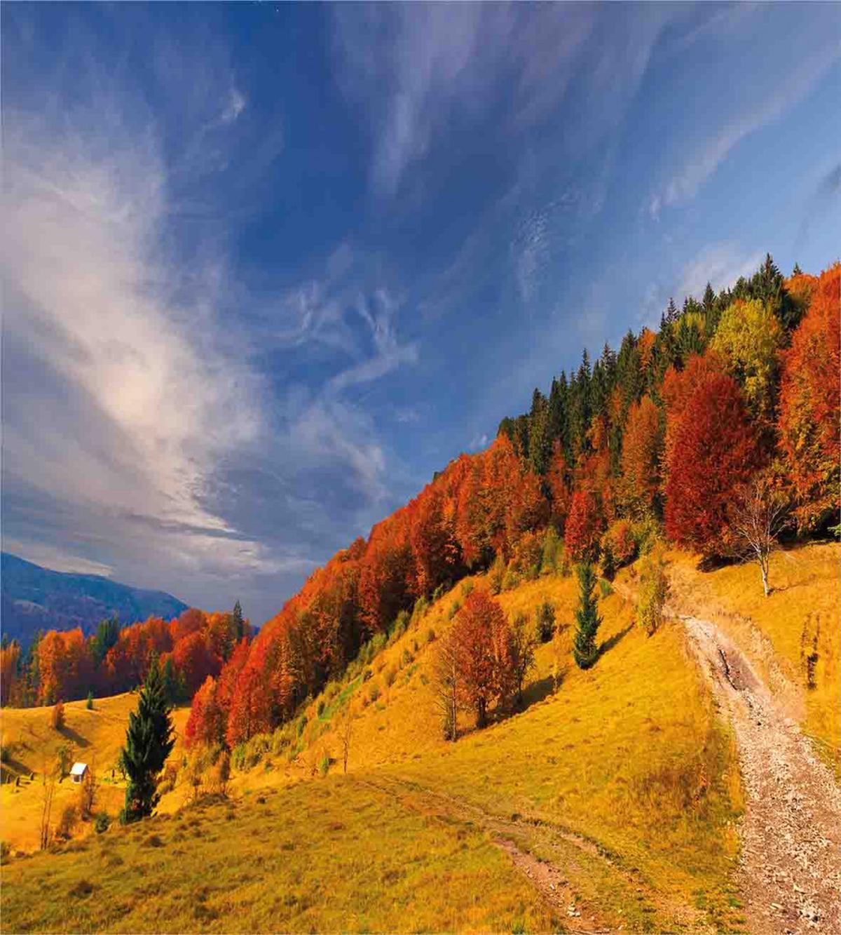 Fresh Autumn Mountain Valley — Pattern