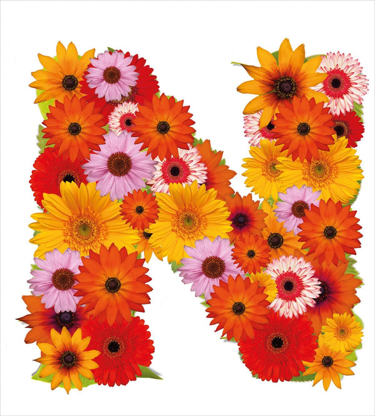 Vibrant Colored Flora — Pattern