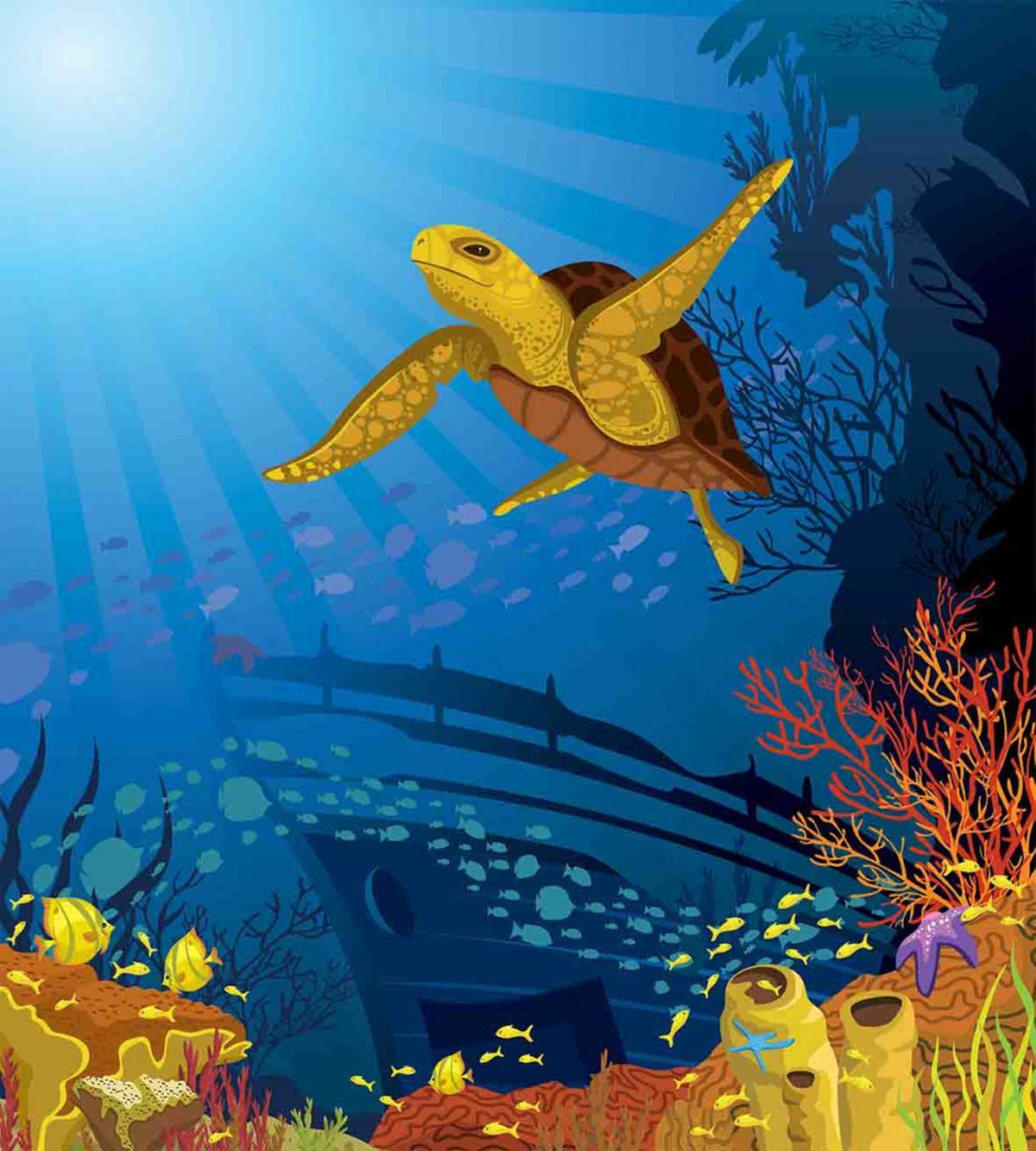 Coral Reef Fish Turtle — Pattern
