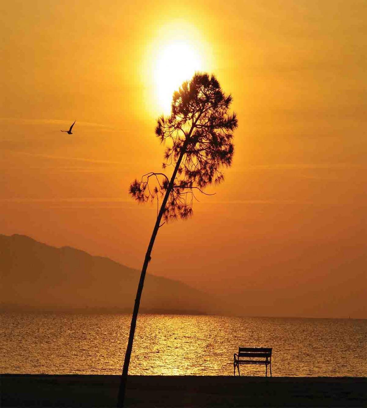 Romantic Sunset Twilight — Pattern