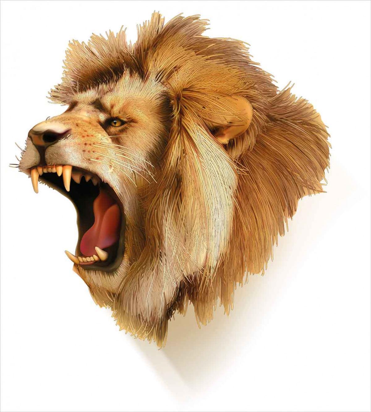 Roaring Fierce Lion Head — Pattern