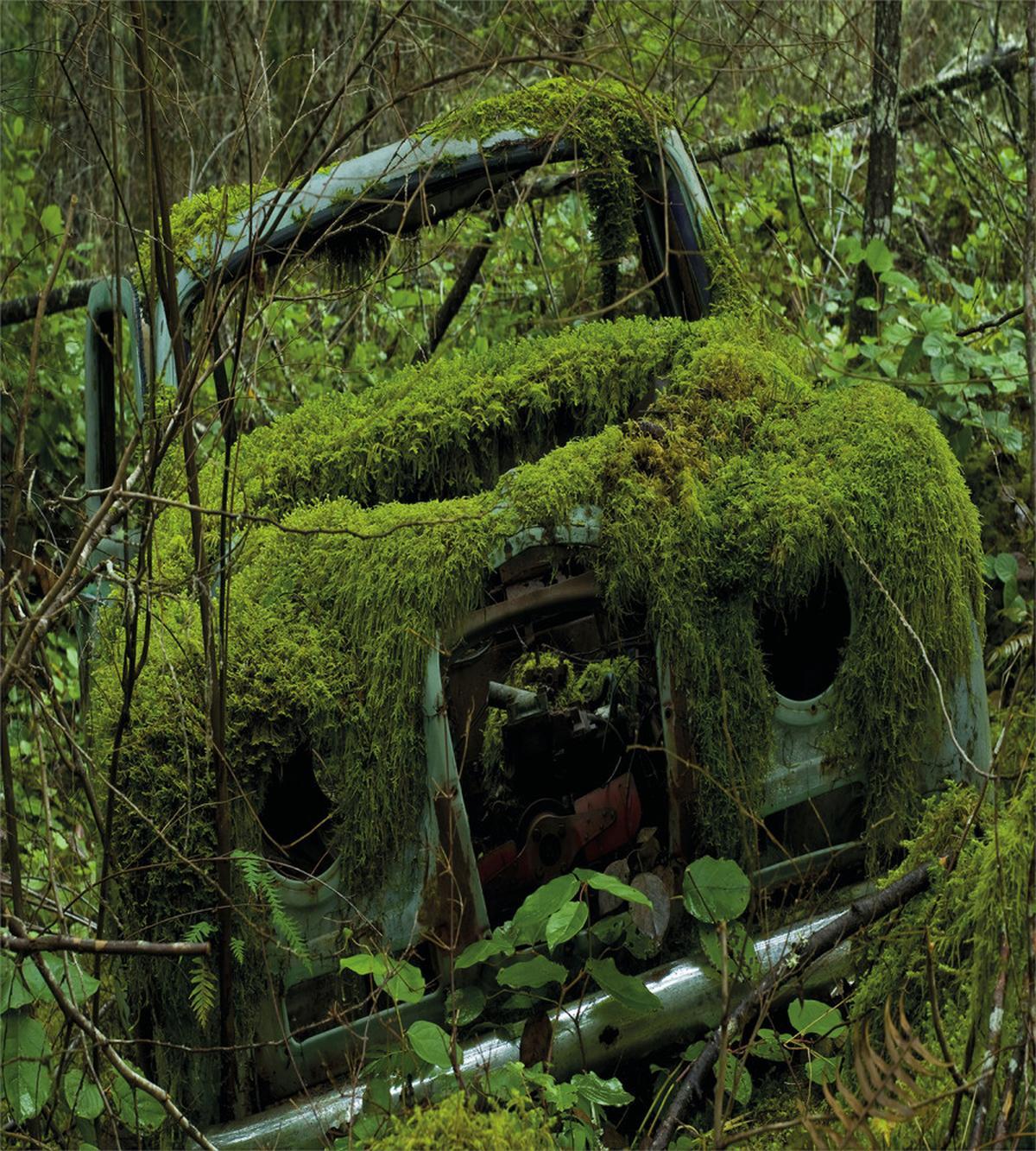 Old Classic Car Forest — Pattern