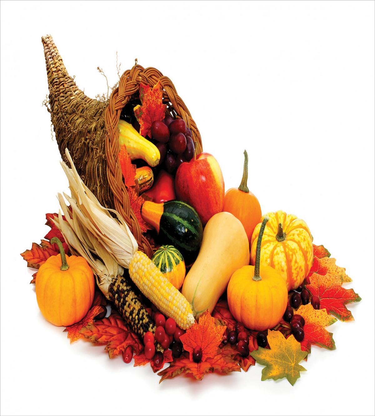 Thanksgiving Photograph — Pattern