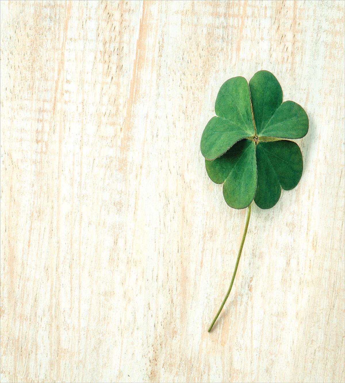 Close up Photo of Shamrock — Pattern