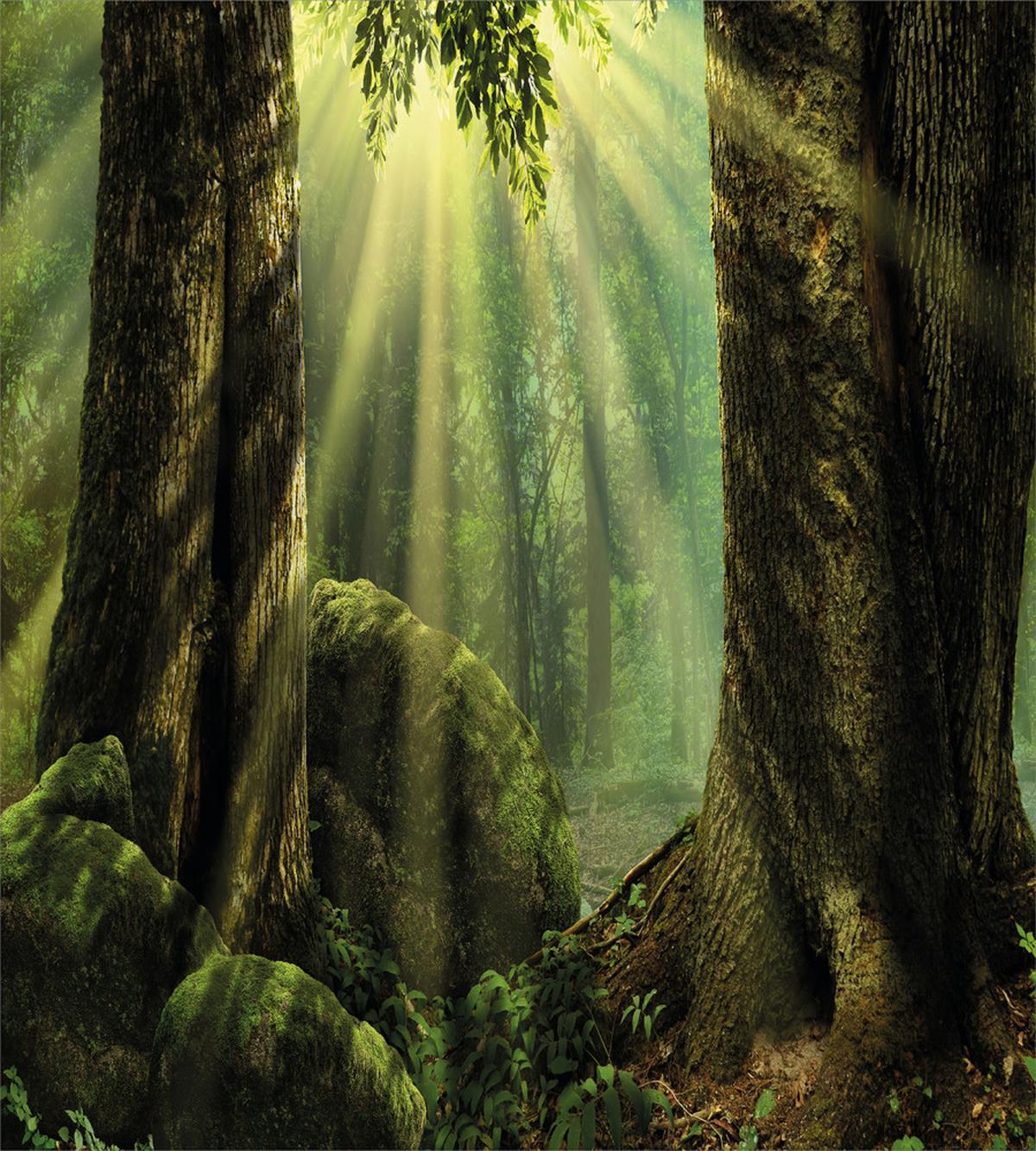 Sunbeam Moss Tree Bodies — Pattern