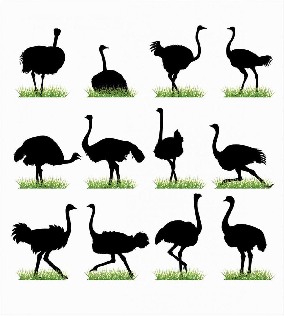 Animal Silhouette Grass — Pattern