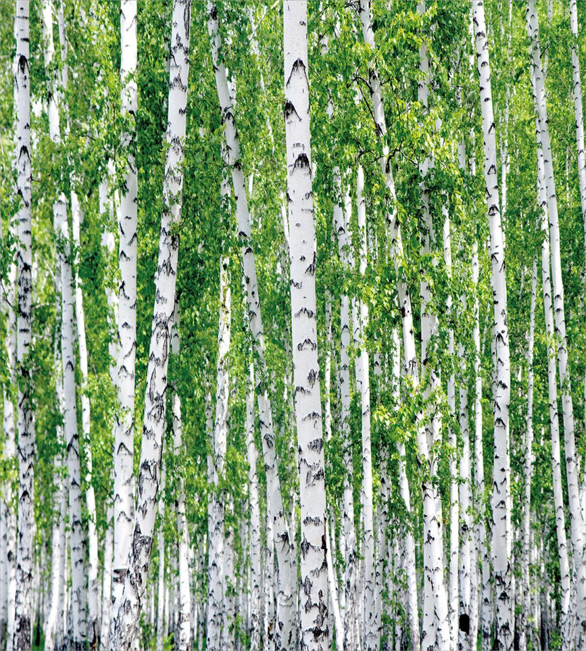 Fresh Summer Leaves — Pattern