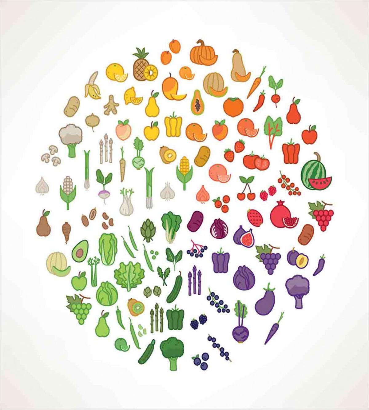 Colorful Food Circle — Pattern