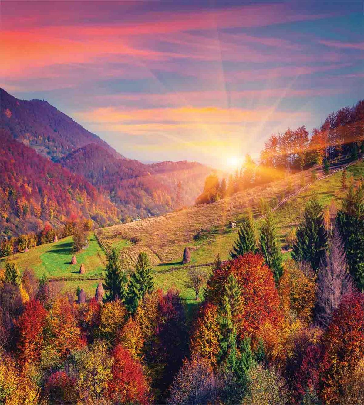 Morning in Mountain Tree — Pattern