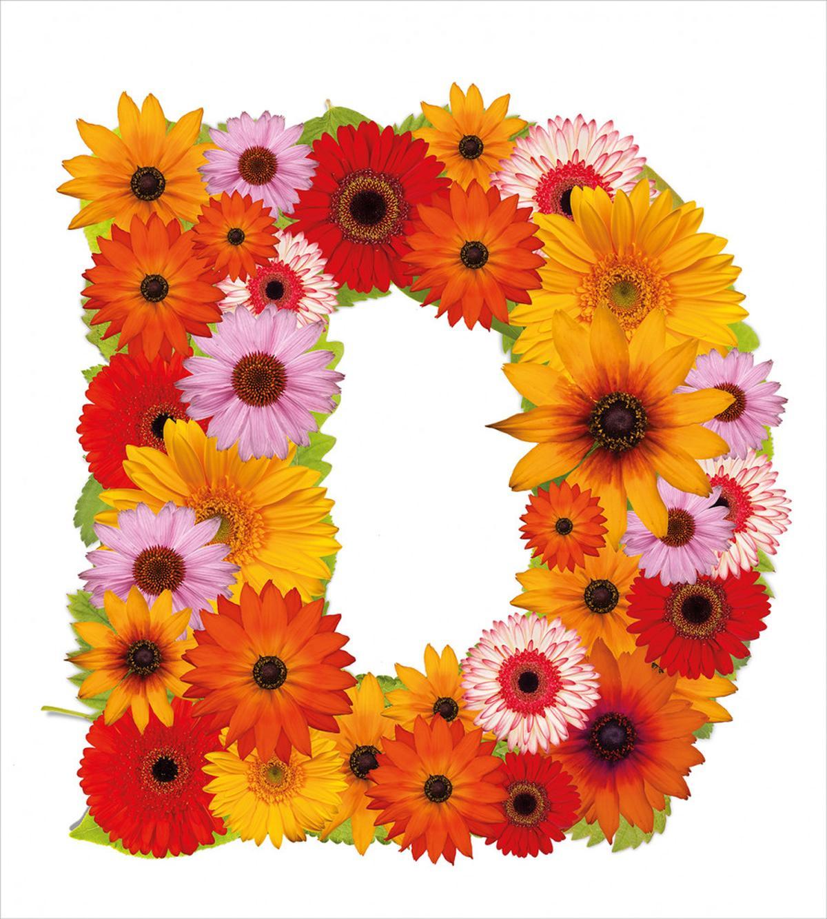 Summer Chamomile Petals — Pattern