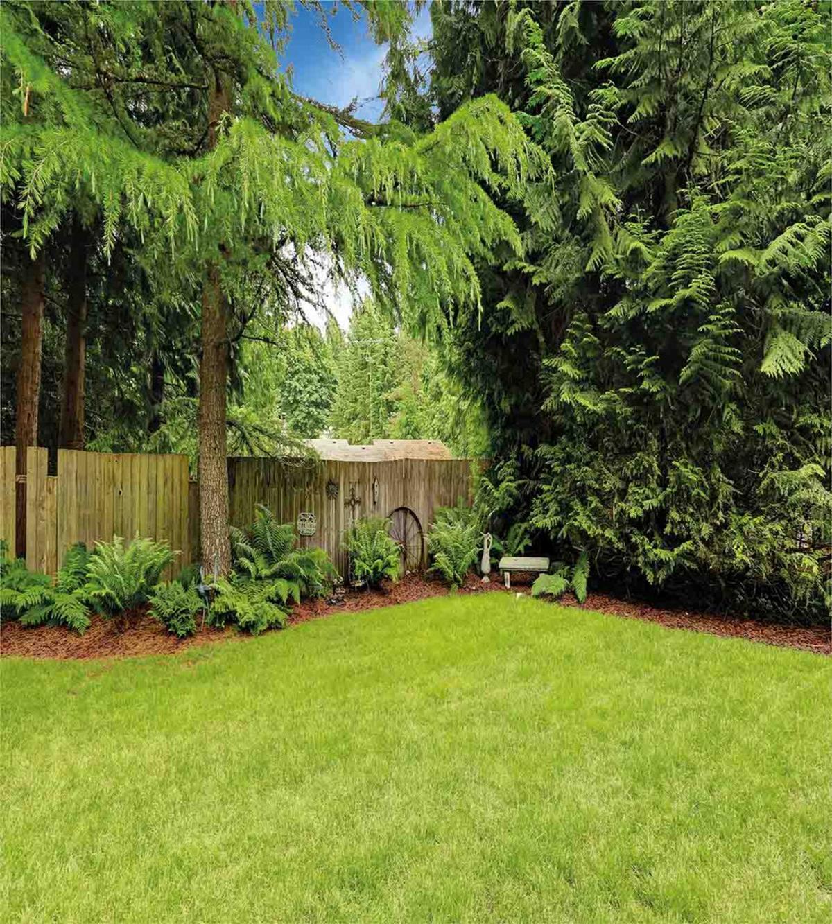 Pine Trees Backyard — Pattern