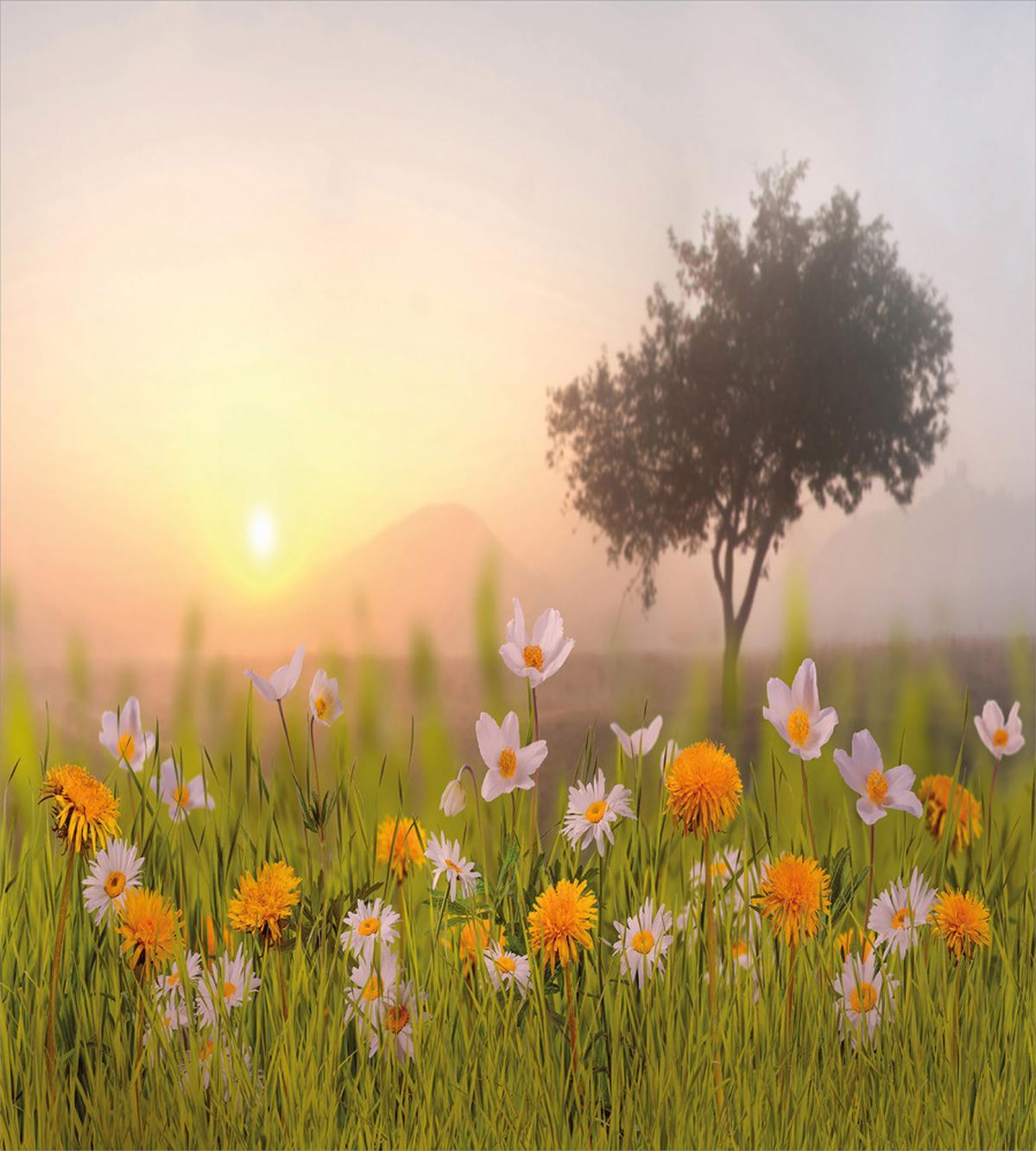 Daisies Tree Mist — Pattern