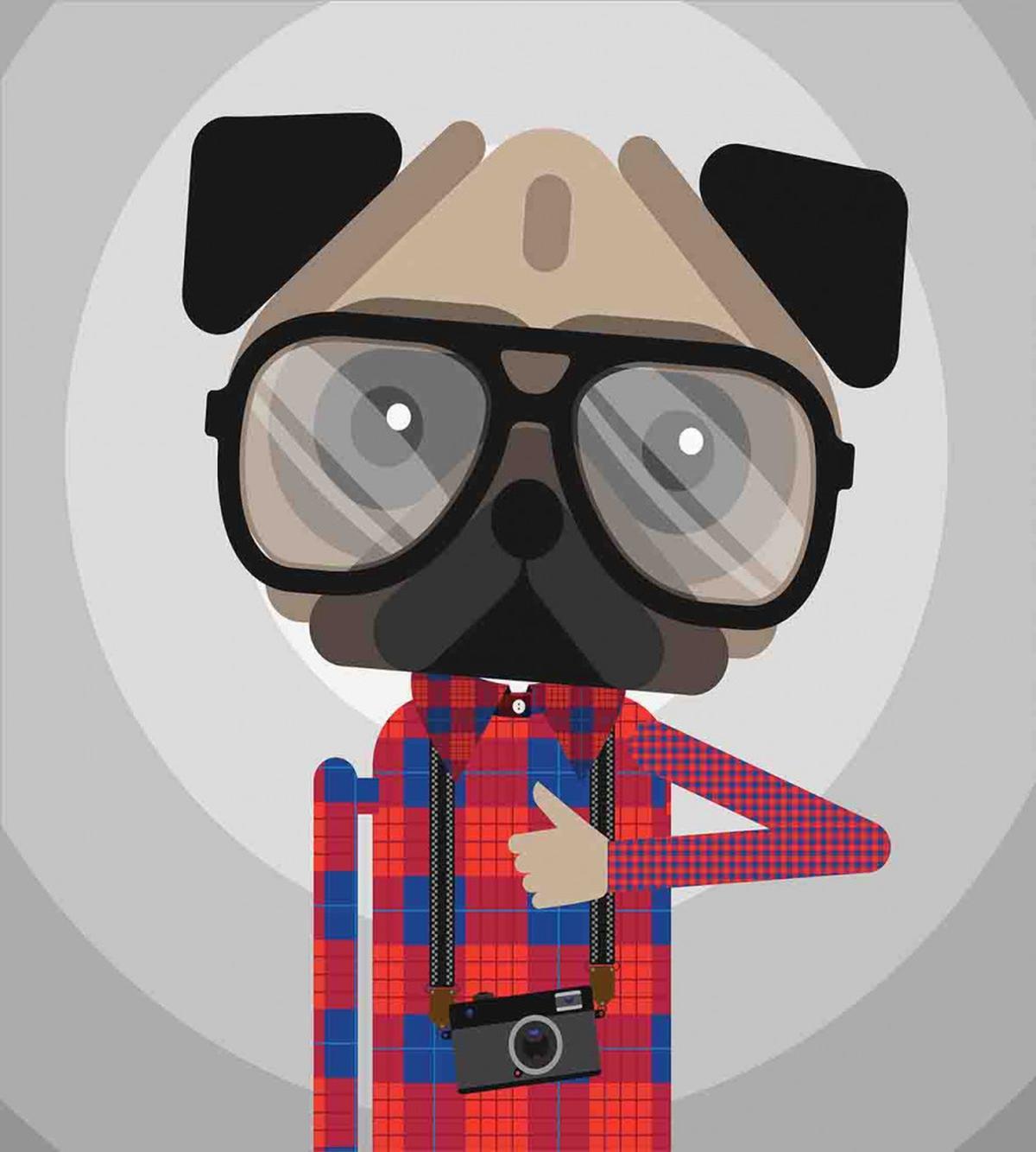 Photographer Pug Dog — Pattern