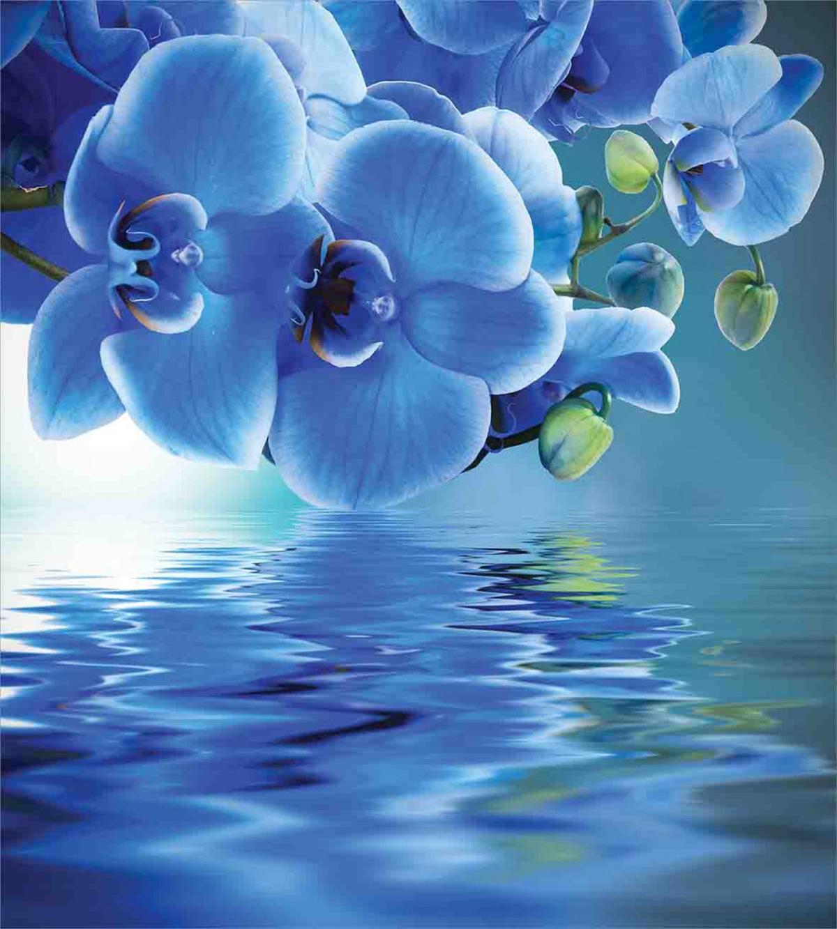 Natural Orchids — Pattern