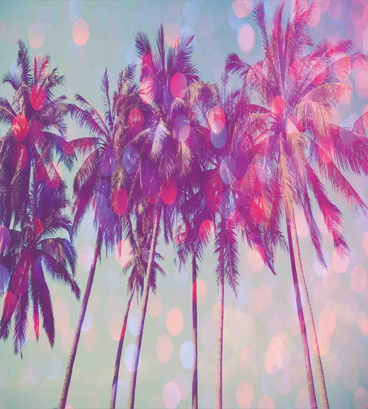 Hawaiian Tropic Palms — Pattern