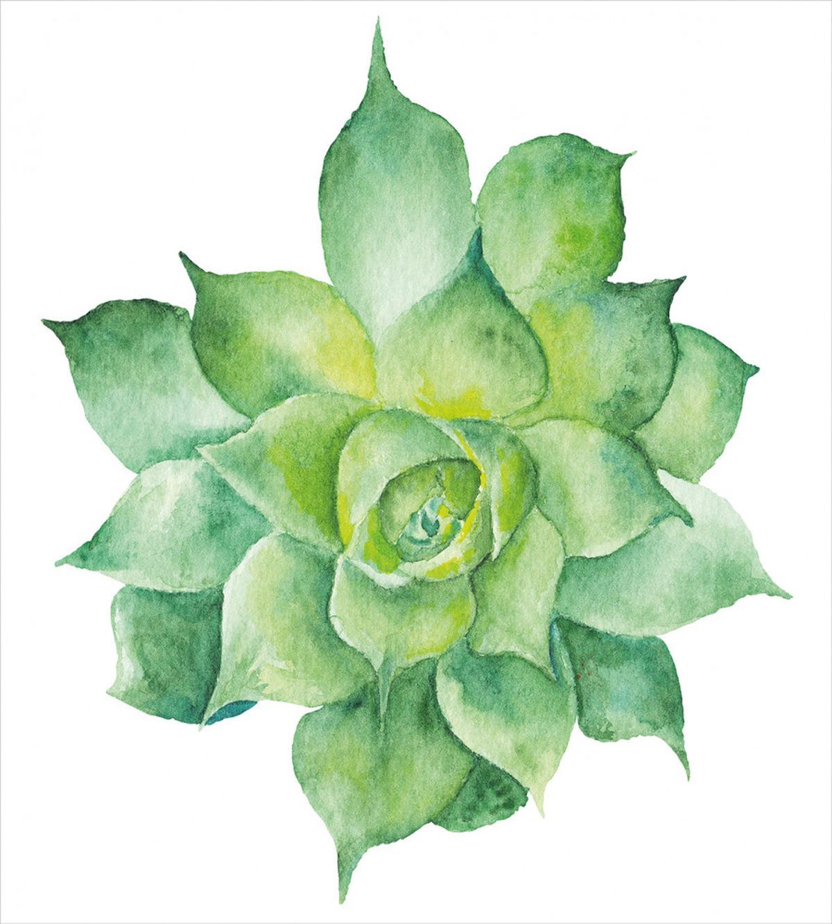 Botanical Gardening Theme — Pattern