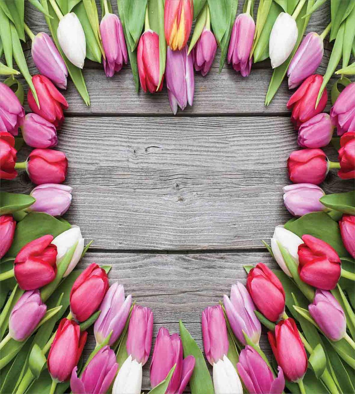 Frame of Fresh Tulips — Pattern