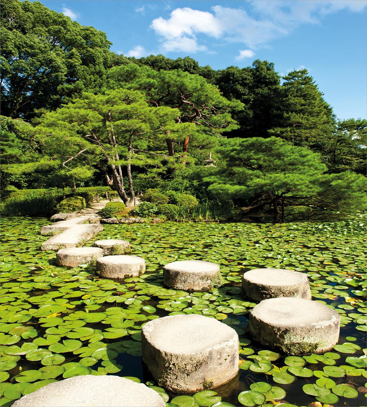 Japanese Stone Path Lotus — Pattern