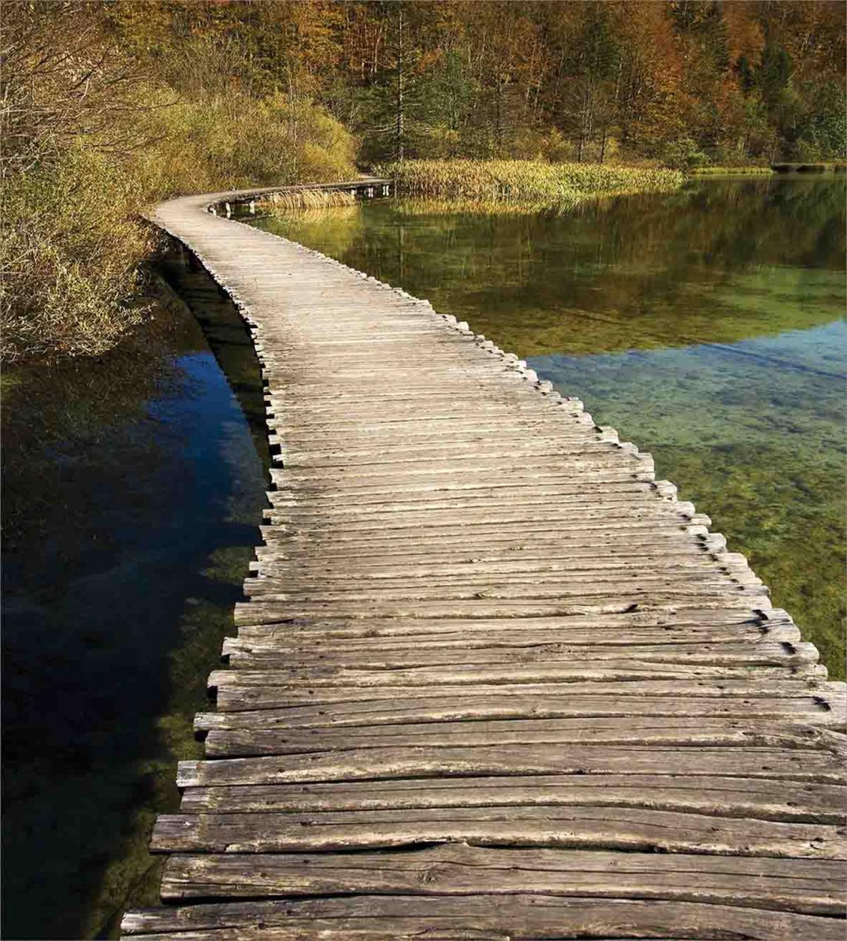 Wooden Path into Forest — Pattern