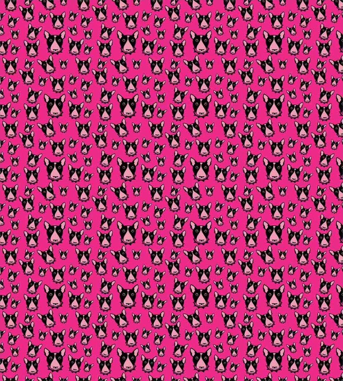 Bull Terrier Dog Heads on Pink — Pattern