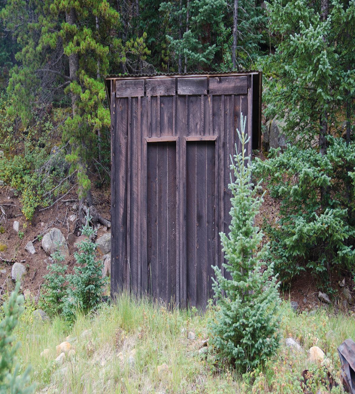 Cottage in Farm Forest — Pattern