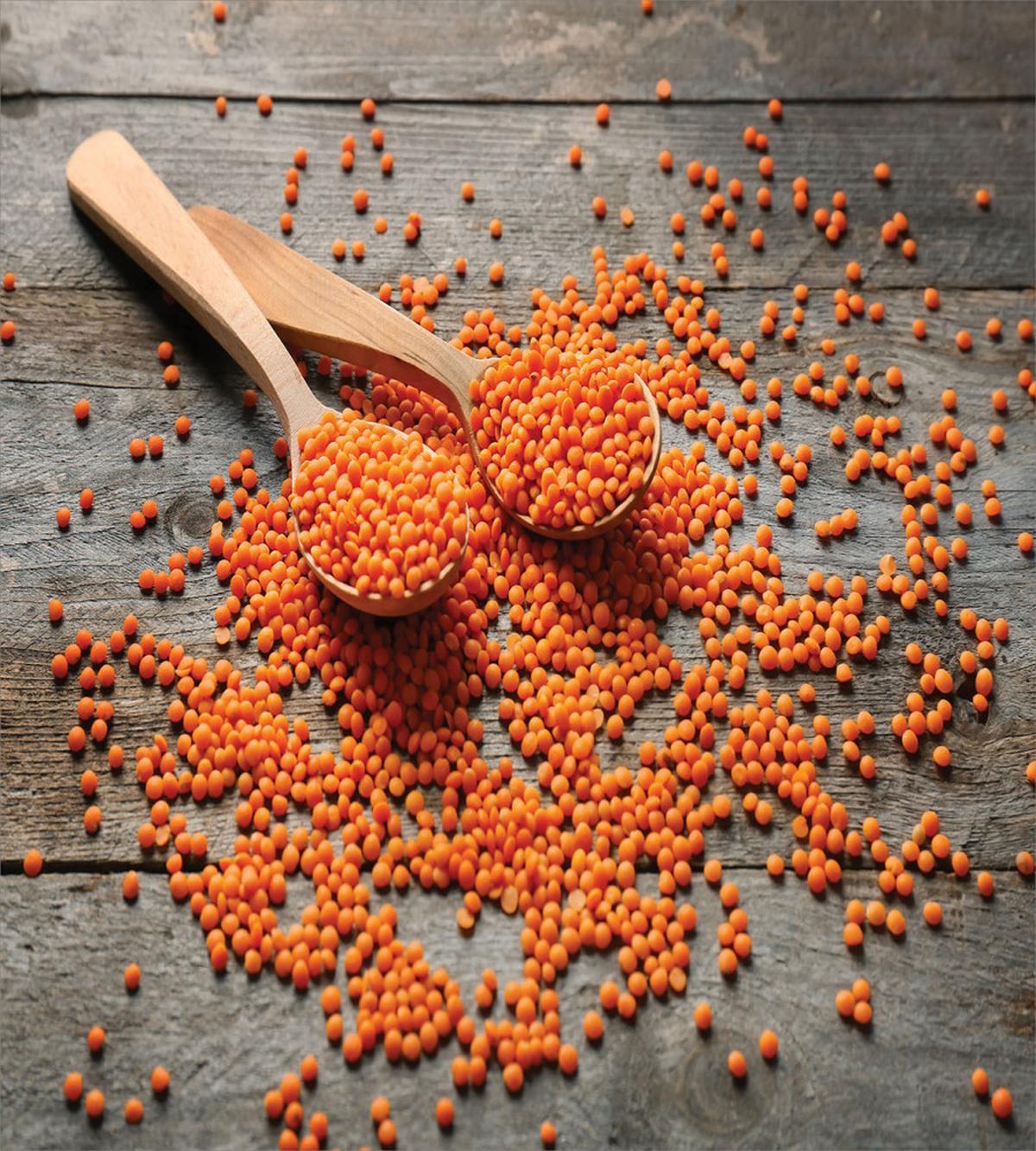 Lentils on Spoons — Pattern
