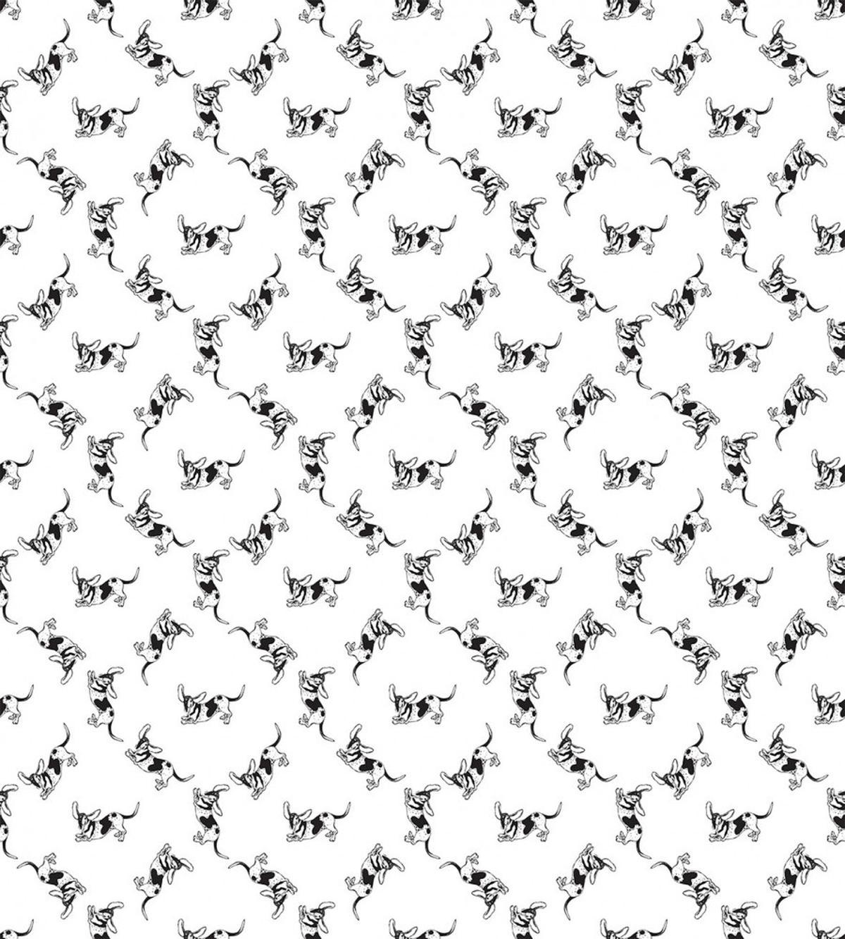 Shocked Long Eared Dog — Pattern