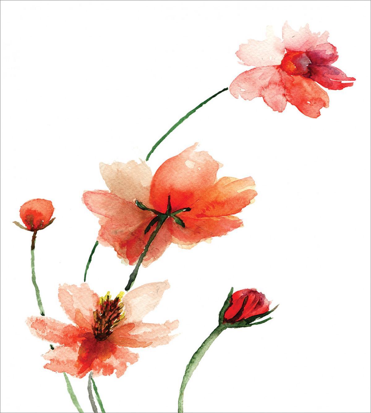 Colorful Wildflowers — Pattern