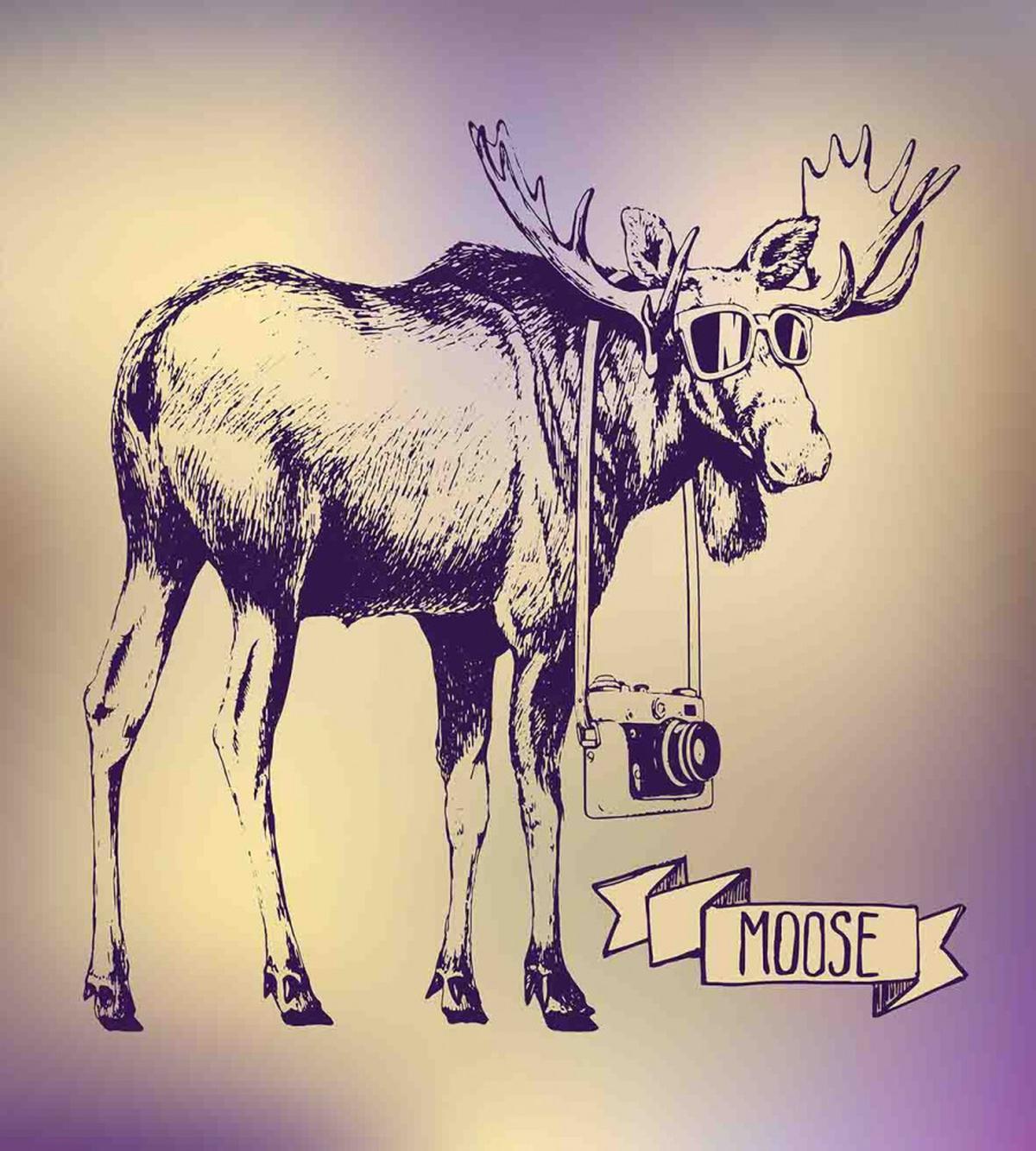 Hipster Deer with Camera — Pattern