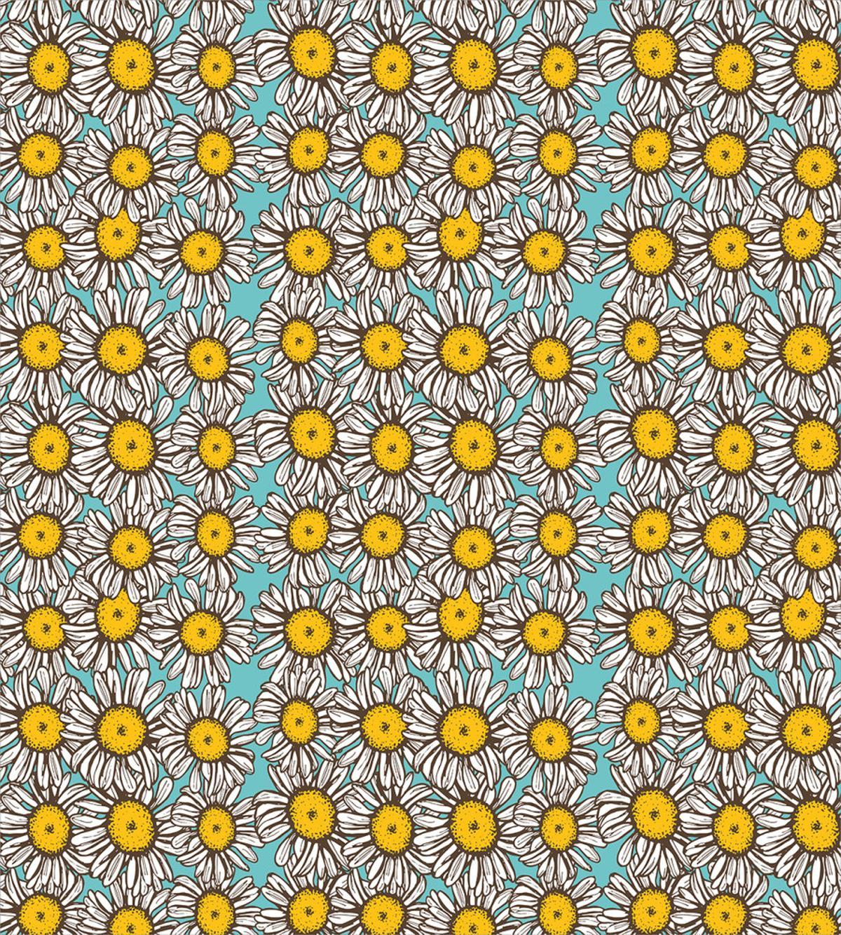 Sketch Daisies — Pattern