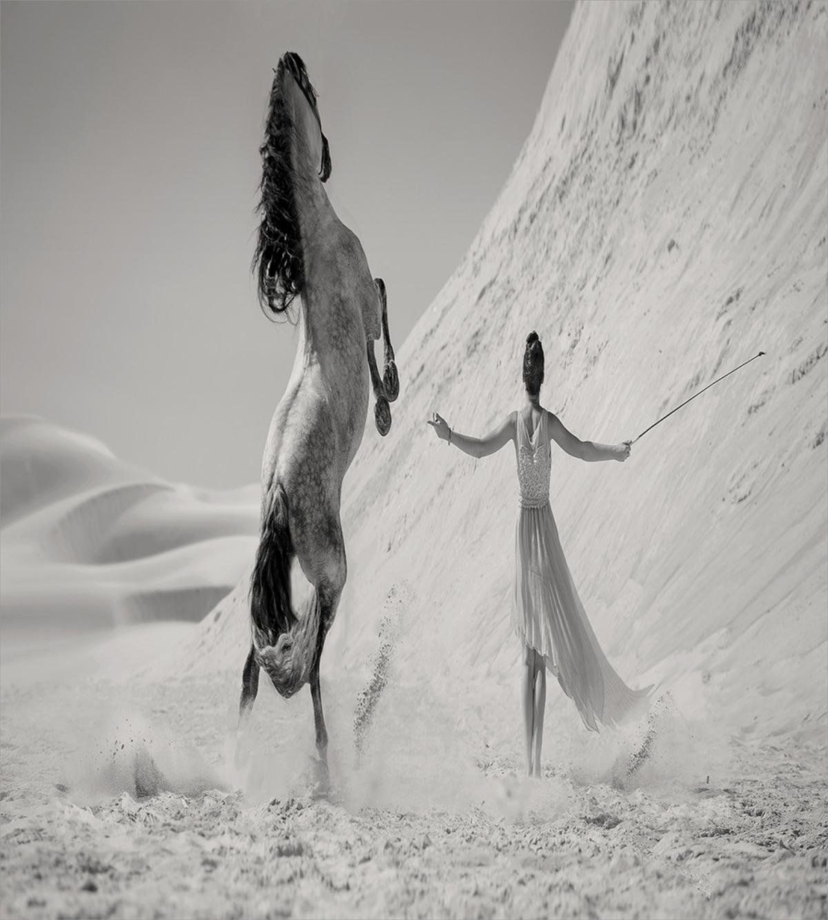 Horse and Lady — Pattern