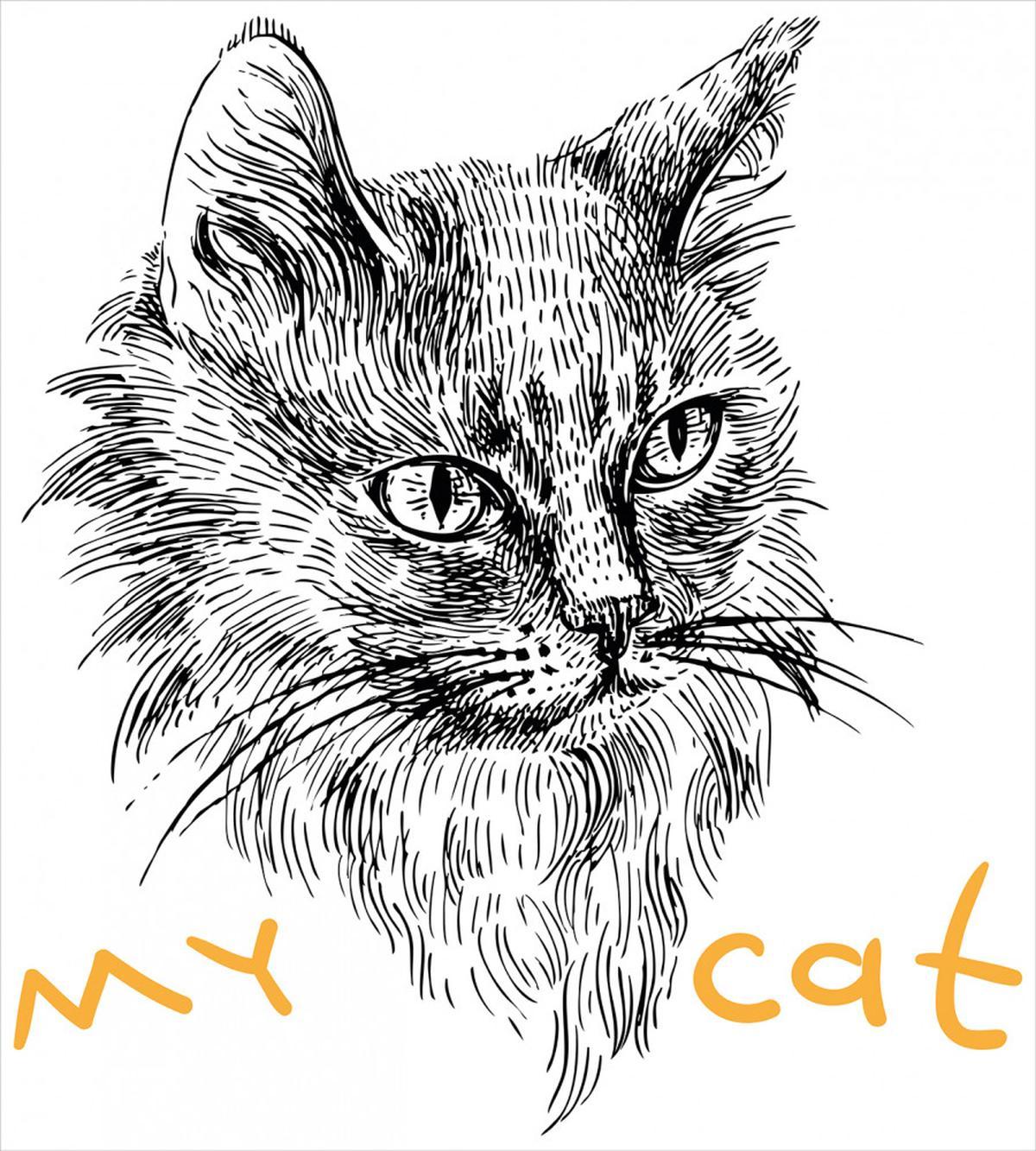 Hand Drawn Cat — Pattern