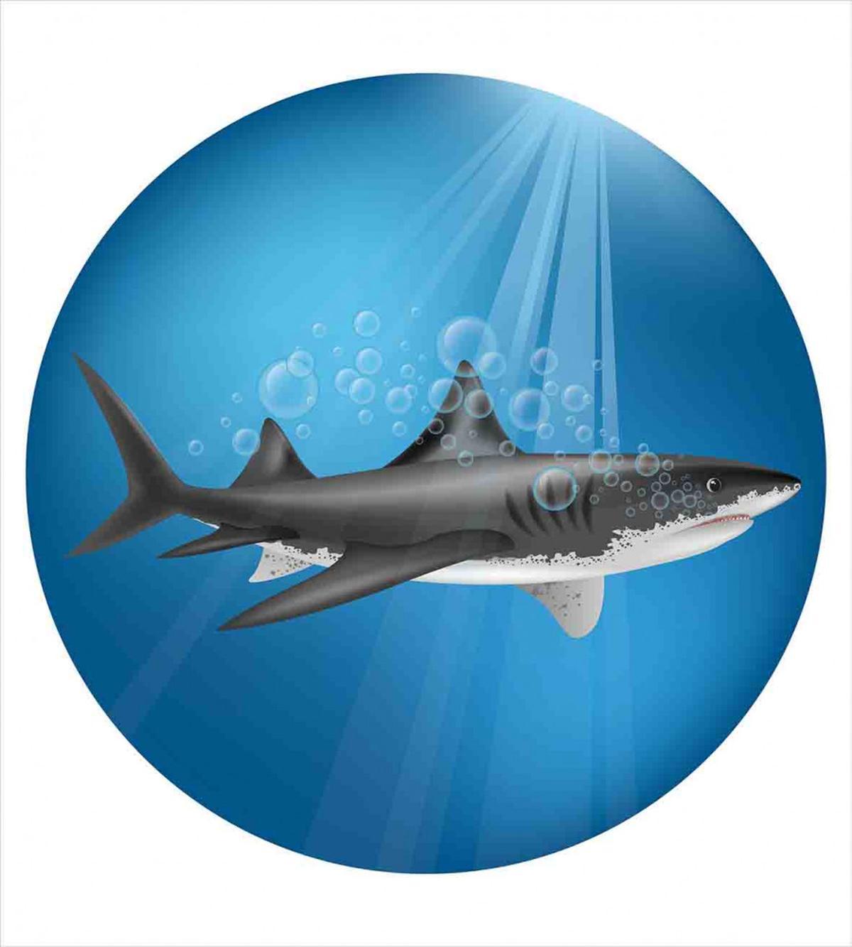 Shark Underwater Hunter — Pattern