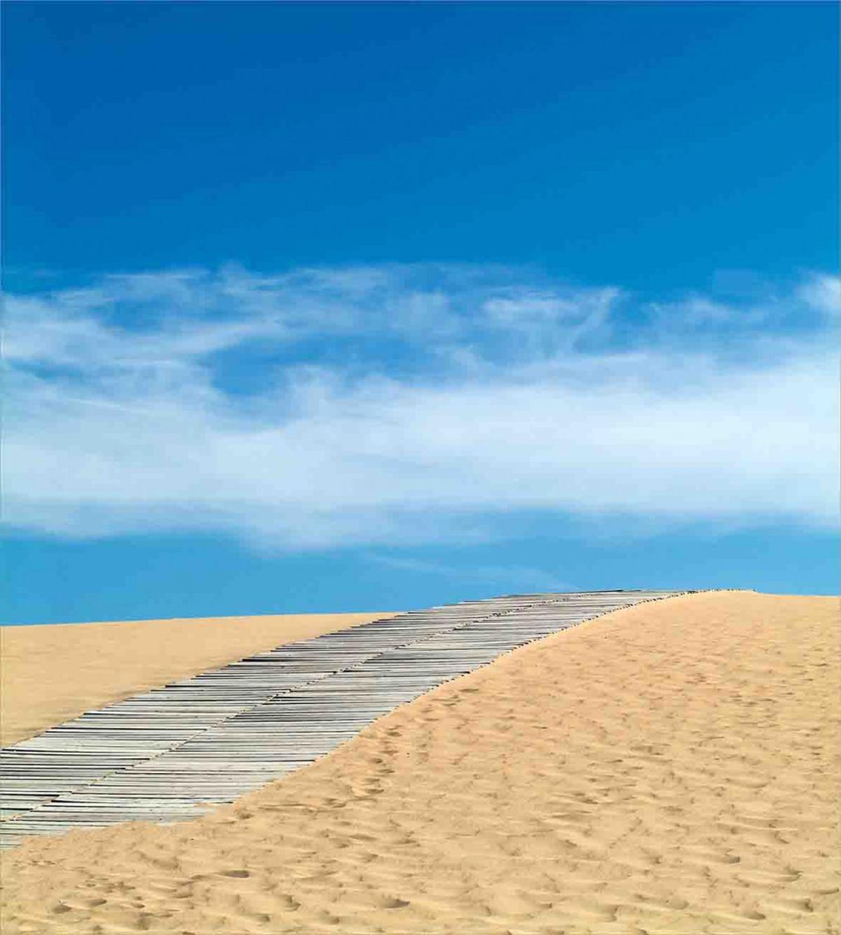 Path over Golden Sand — Pattern