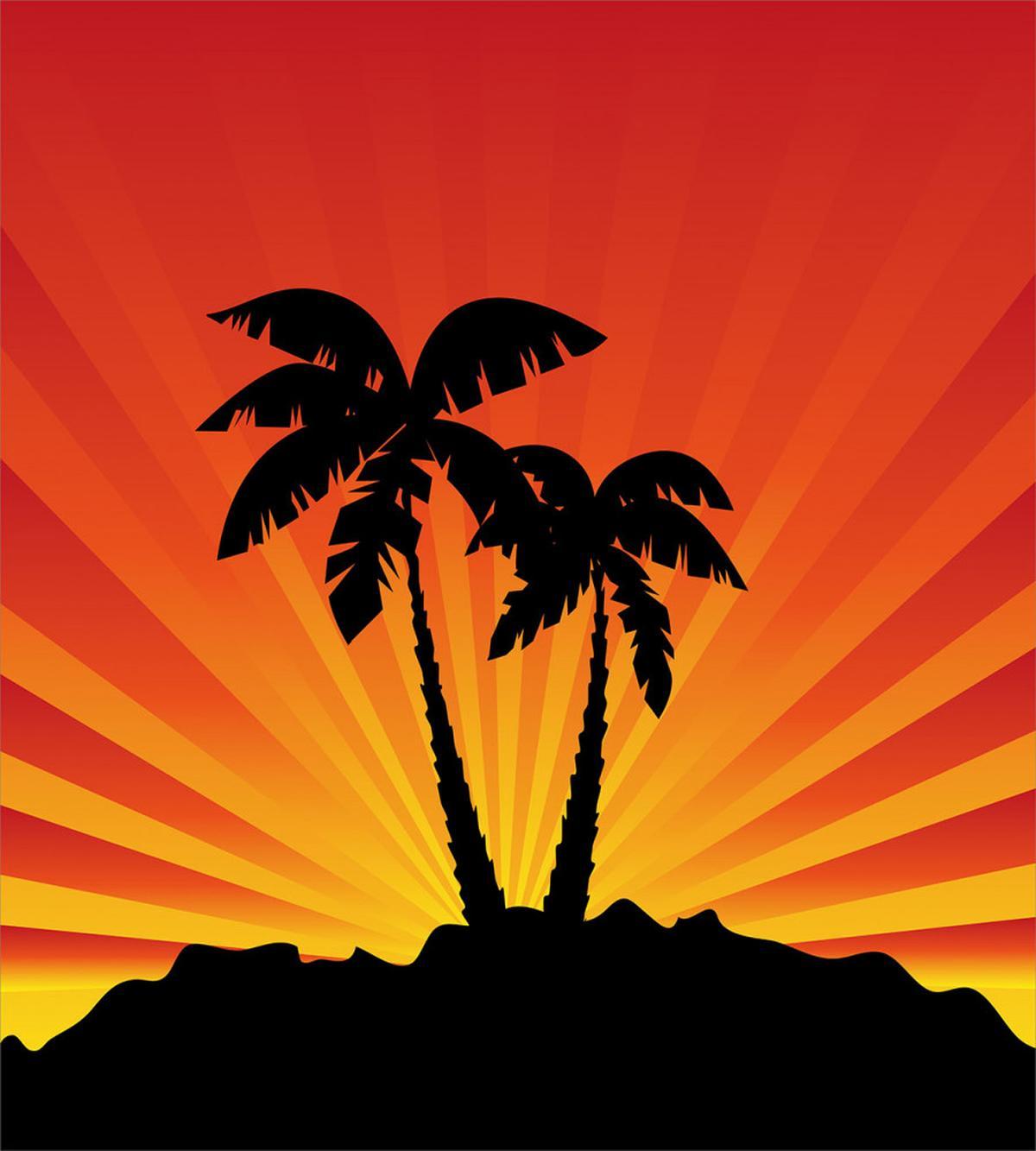Sunrays Palm Trees Shade — Pattern