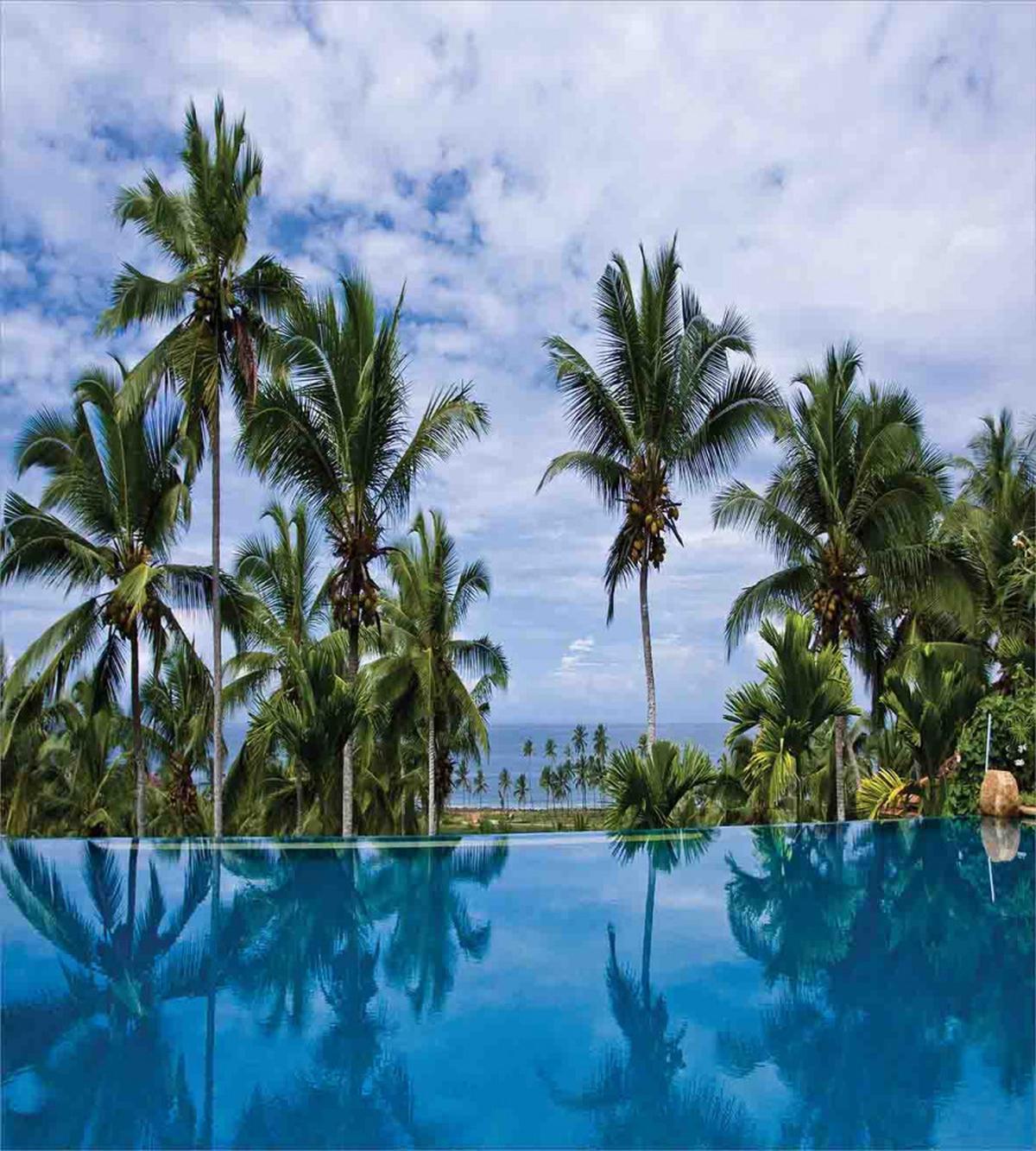 Infinity Pool Palm — Pattern