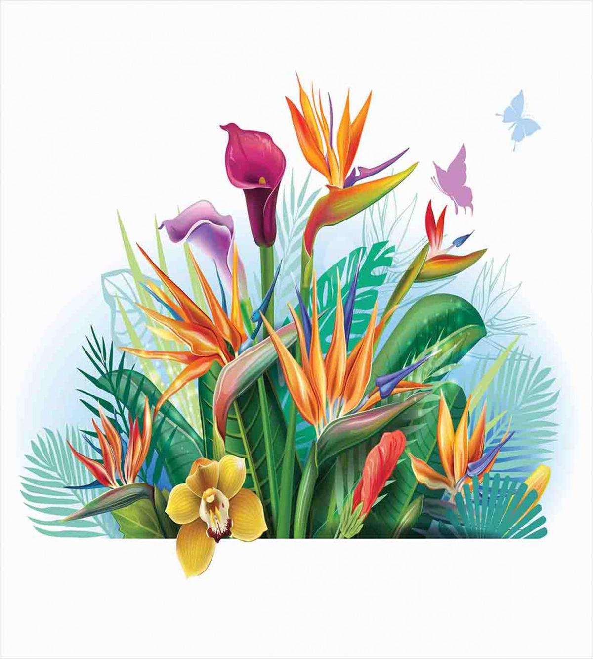 Exotic Flower Strelitzia — Pattern
