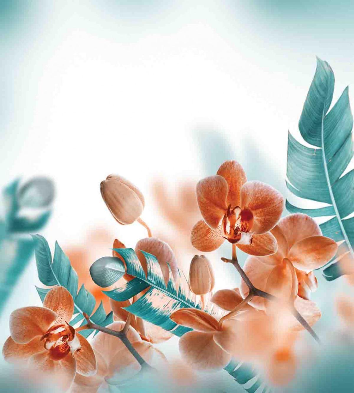 Orchids Blossoms Floral — Pattern